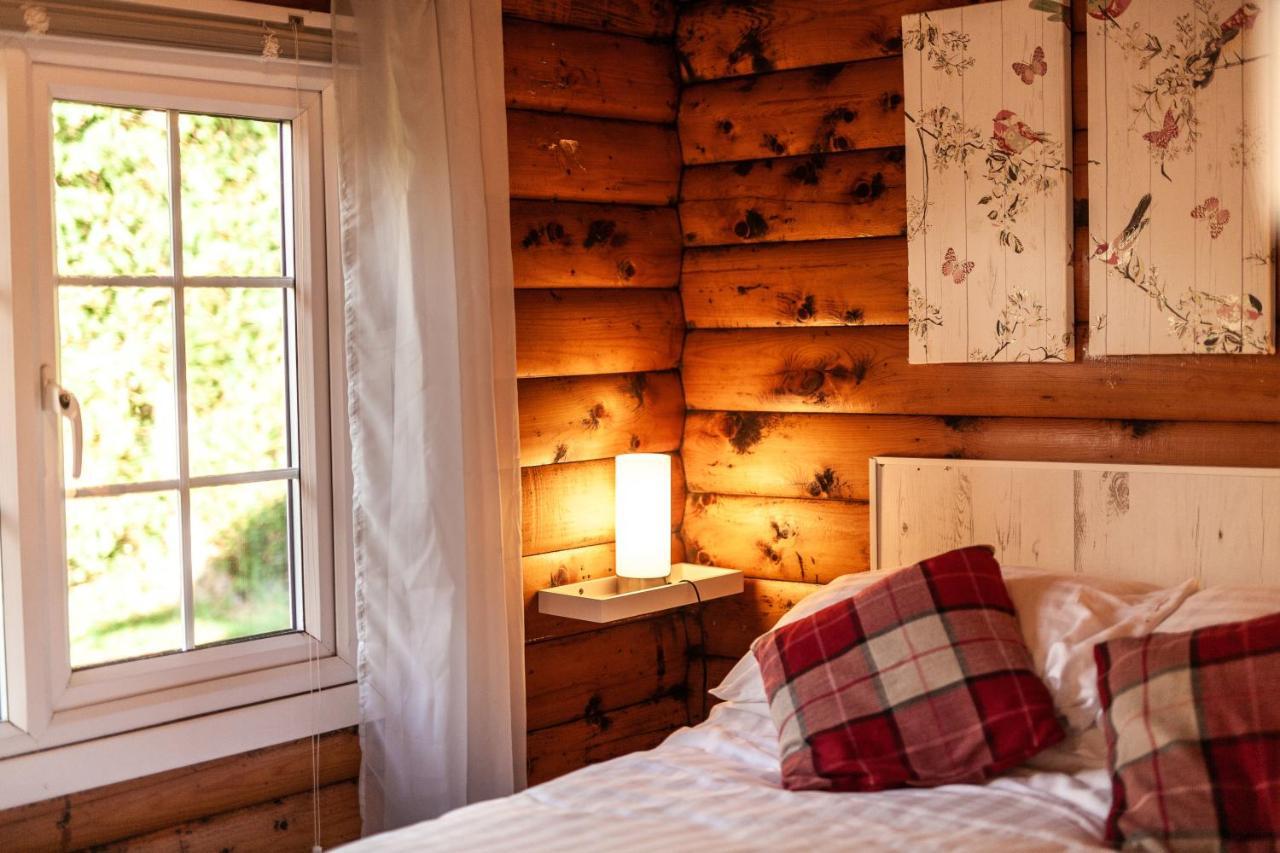 Welsh Retreat 2 Bedroom Log Cabin - Seren Property Trawsfynydd ภายนอก รูปภาพ